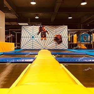 What Is The Prospect Of Smart Trampoline Park?