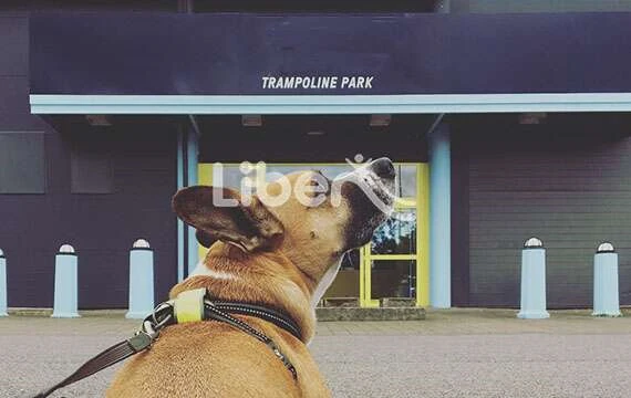Offline Promotion for Indoor Trampoline Park Management
